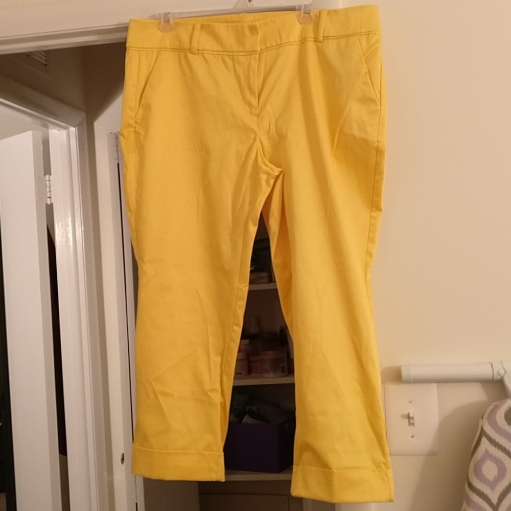Cropped Ankle Pants